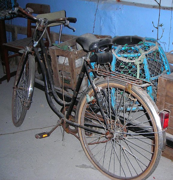 2010-05-09 08 Kerroch Y en a qui prennent la poussiere.JPG